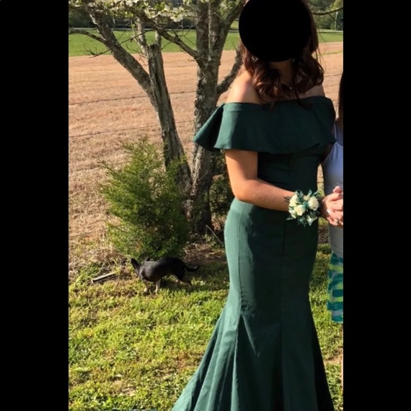 Prom/Formal Dress - Picture 8 of 8